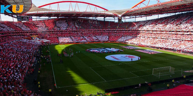 Sân vận động Luz từng được Bồ Đào Nha sử dụng tại Euro 2004